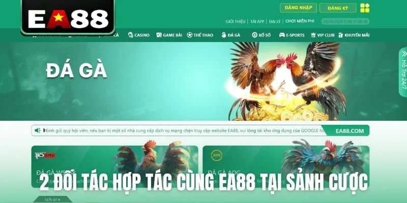 2 đối tác hợp tác cùng EA88 tại sảnh cược trực tuyến