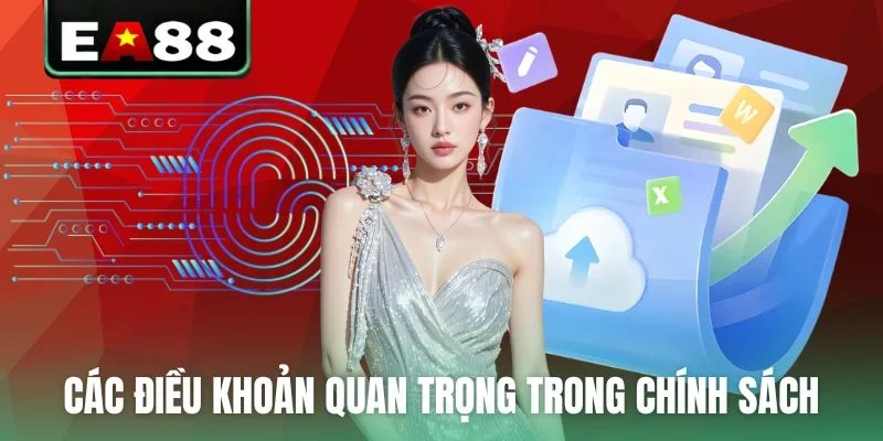 Các điều khoản quan trọng trong chính sách