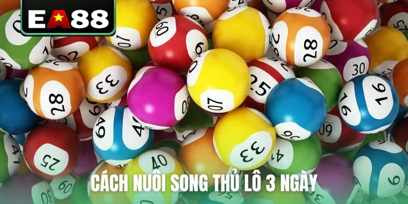 Cách nuôi song thủ lô 3 ngày