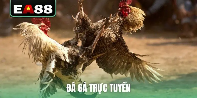 đá gà trực tuyến