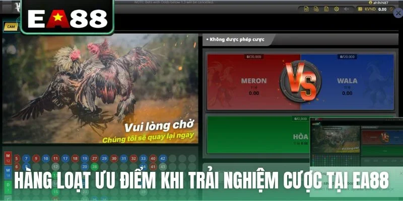 Hàng loạt ưu điểm khi trải nghiệm sảnh cược tại EA88