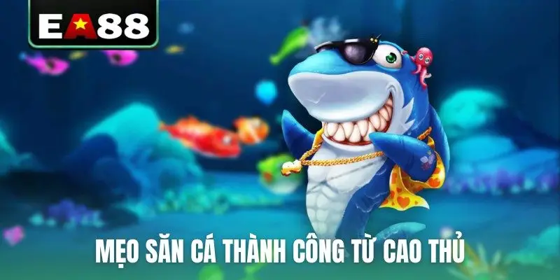 Mẹo săn cá thành công từ cao thủ
