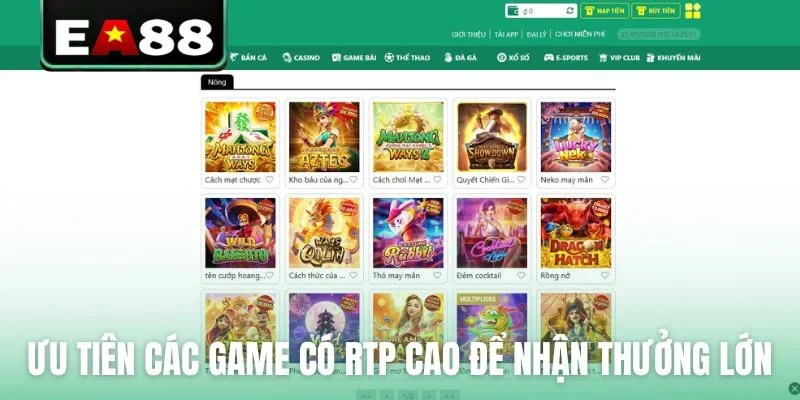 Ưu tiên các dòng game có RTP cao để nhận thưởng lớn